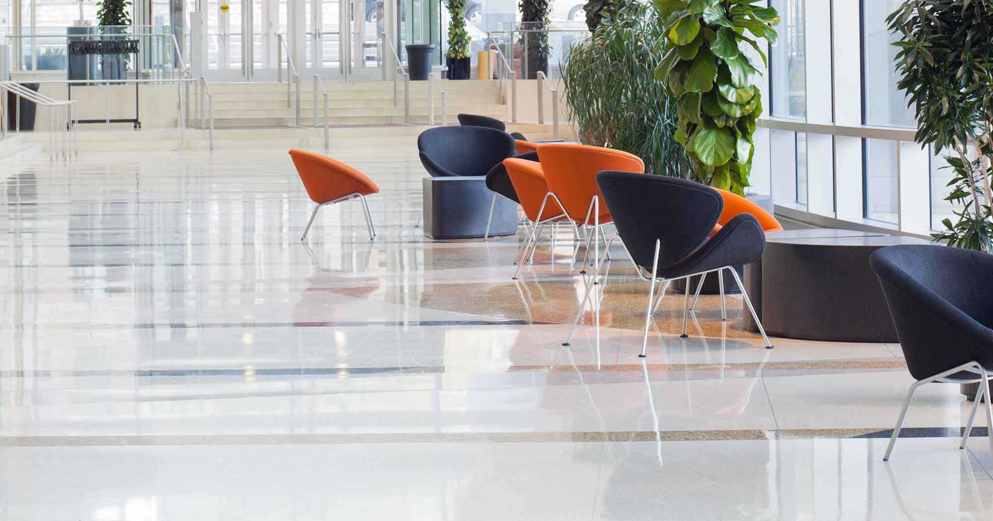 NFP Office lobby with orange and blue furniture and potted indoor plants.