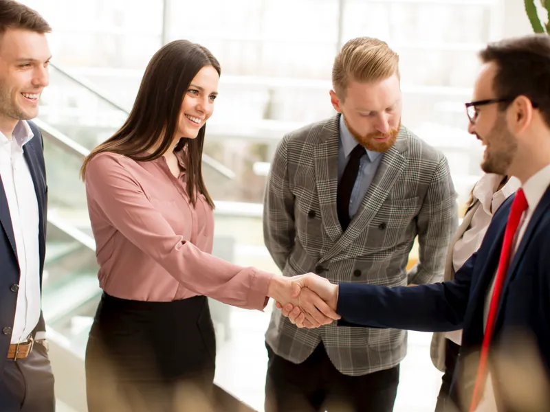 A group of professionals shake hands