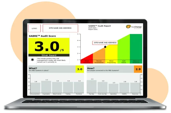 Screenshot of SABRE audit score